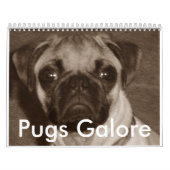 Mops-reichlich Kalender (Titelbild)