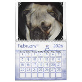 Mops-reichlich Kalender (Feb 2026)