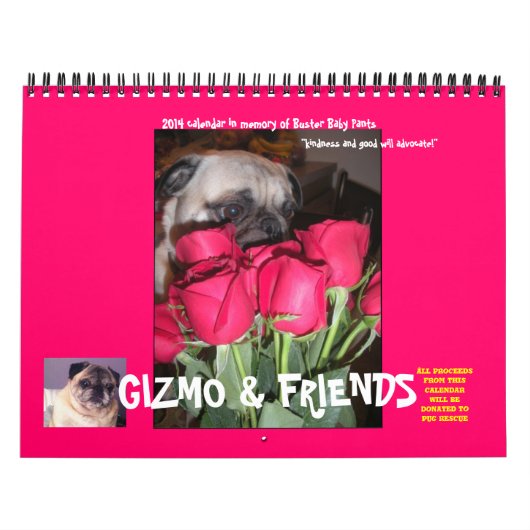 MOPS-RETTUNGS-KALENDER 2014 KALENDER (Titelbild)