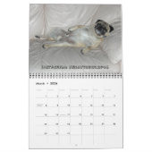 MOPS-RETTUNGS-KALENDER 2014 KALENDER (Mär 2026)