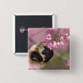 Mops riecht nach Kirschblüten Button (Vorne & Hinten)