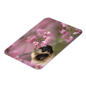 Mops riecht nach Kirschblüten Magnet (Linke Seite)