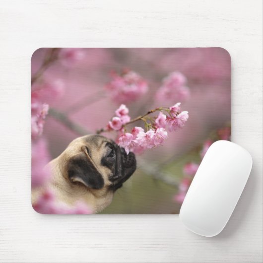 Mops riecht nach Kirschblüten Mousepad (Mit Mouse)