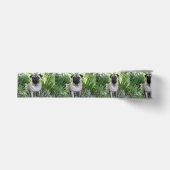 Mops Ripsband (Vorderseite)