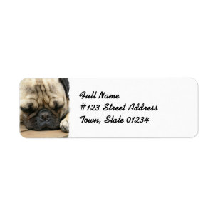 Mops-Rücksendeadressemailings-Aufkleber