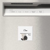 Mops sauber / schmutzig magnet (In Situ (Geschirrspüler))