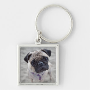 Mops-Schließung Schlüsselanhänger