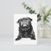 Mops - Schwarzer MOPS Schwarz & Weiß Postkarte (Stehend Vorderseite)