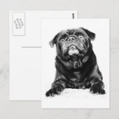 Mops - Schwarzer MOPS Schwarz & Weiß Postkarte (Vorne/Hinten)