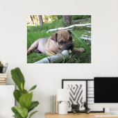 Mops/Sharpei-Welpenwerbung Poster (Heimbüro)