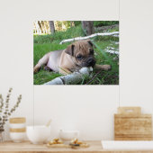Mops/Sharpei-Welpenwerbung Poster (Küche)