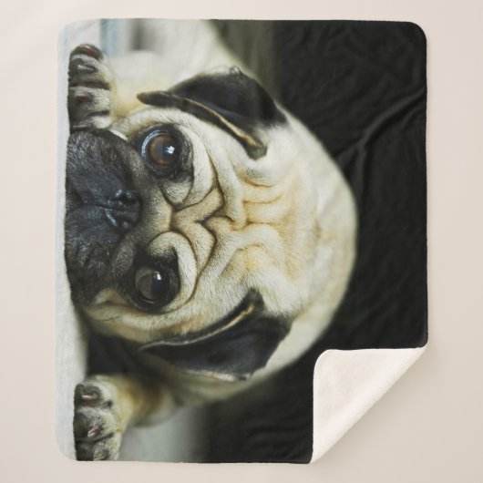 Mops Sherpadecke (Vorderseite)