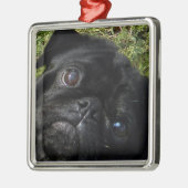 Mops Silbernes Ornament (Links)