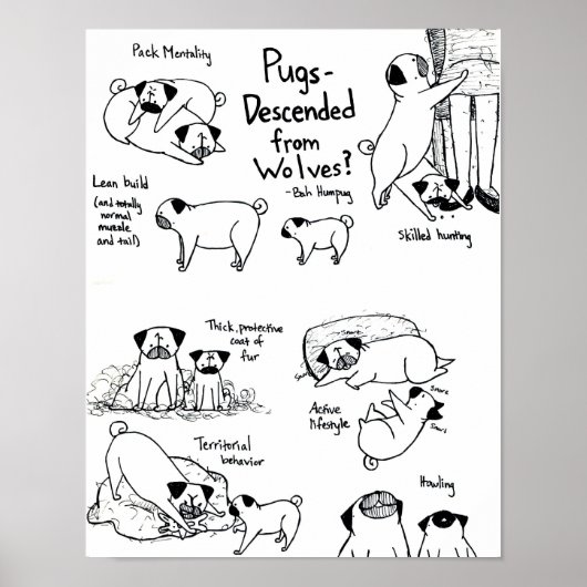 Mops sind von Wölfen abgestiegen? Poster (Vorne)