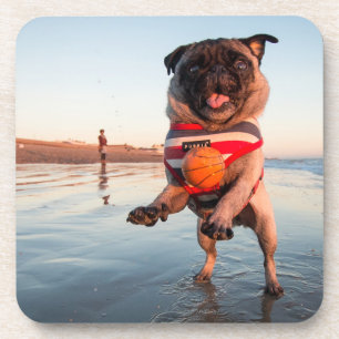 Mops spielen am Strand Getränkeuntersetzer