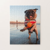 Mops spielen am Strand Puzzle (Vertikal)