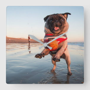 Mops spielen am Strand Quadratische Wanduhr