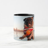 Mops spielen am Strand Tasse (Zentrum)