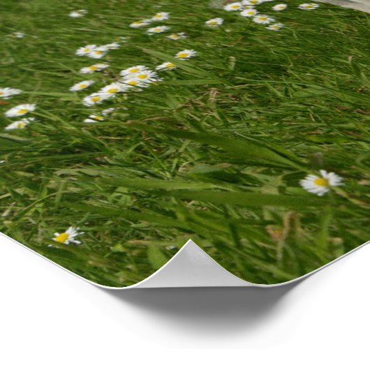 Mops spielen in Blume Poster (Ecke)