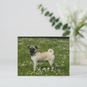 Mops spielen in Blume Postkarte (Stehend Vorderseite)
