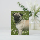 Mops spielen in Blume Postkarte (Stehend Vorderseite)