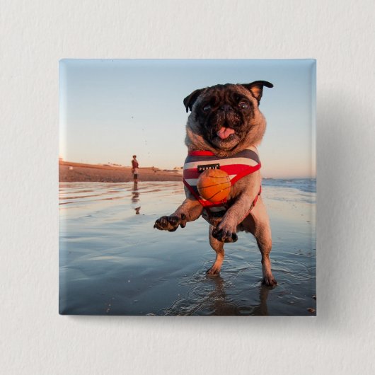 Mops spielt Ball am Strand Button (Vorderseite)