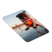 Mops spielt Ball am Strand Magnet (Rechte Seite)