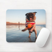Mops spielt Ball am Strand Mousepad (Mit Mouse)