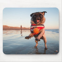 Mops spielt Ball am Strand