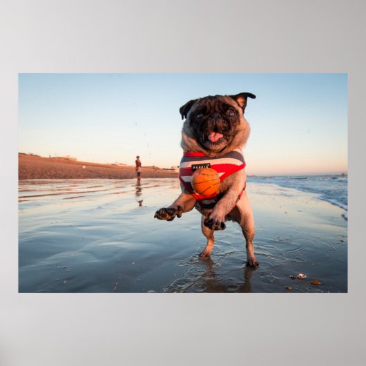 Mops spielt Ball am Strand Poster (Vorne)