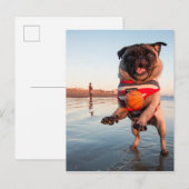 Mops spielt Ball am Strand Postkarte (Vorne/Hinten)
