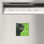 Mops Square Magnet (In Situ (Geschirrspüler))