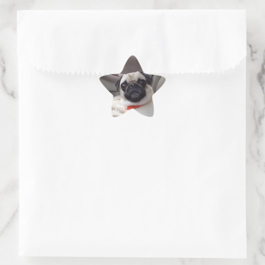 Mops Stickers (Tasche)