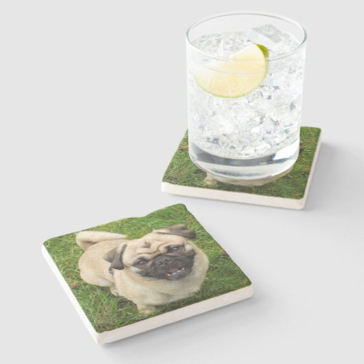 Mops Stone Untersetzer (Seitenansicht)