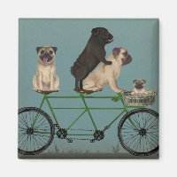 Mops Tandem