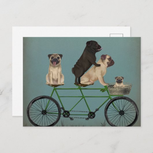 Mops Tandem Postkarte (Vorne/Hinten)