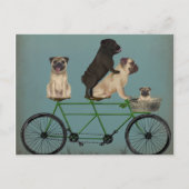Mops Tandem Postkarte (Vorderseite)