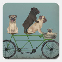 Mops Tandem