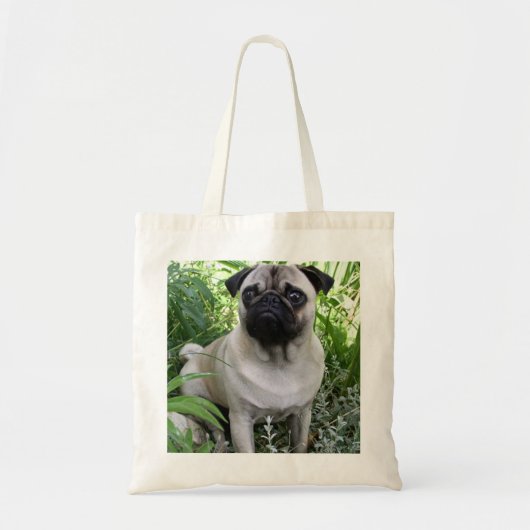 Mops Tragetasche (Vorne)