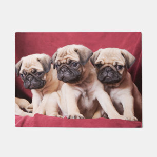 Mops-Triplets Fußmatte
