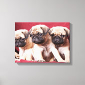 Mops Triplets Leinwanddruck (Vorderseite)