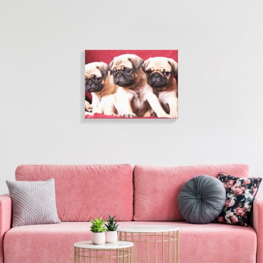 Mops Triplets Leinwanddruck (Insitu (Wohnzimmer))