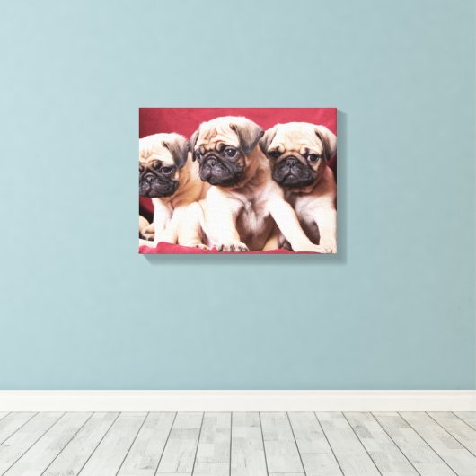 Mops Triplets Leinwanddruck (Insitu (Holzboden))