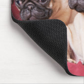 Mops-Triplets Mousepad (Ecke)