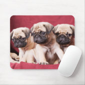 Mops-Triplets Mousepad (Mit Mouse)