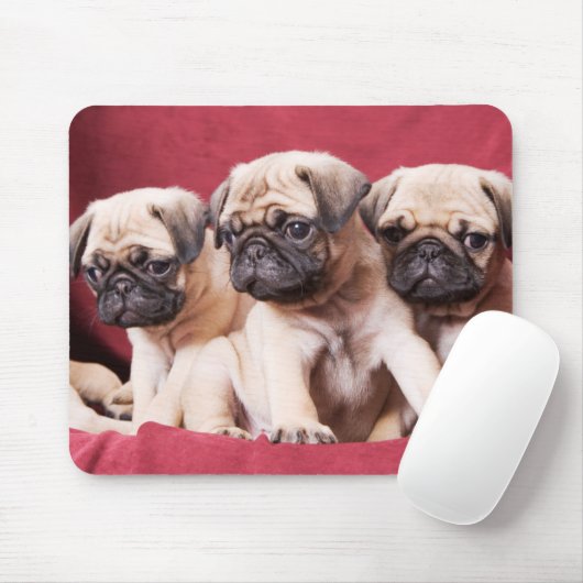 Mops-Triplets Mousepad (Mit Mouse)