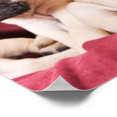 Mops Triplets Poster (Ecke)