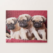 Mops-Triplets Puzzle (Horizontal)