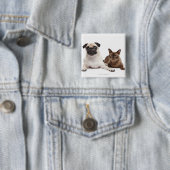 Mops und birmanische Katze Button (Beispiel)