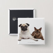 Mops und birmanische Katze Button (Vorne & Hinten)